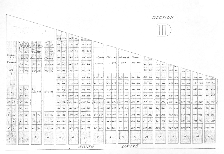 D_section_Part1