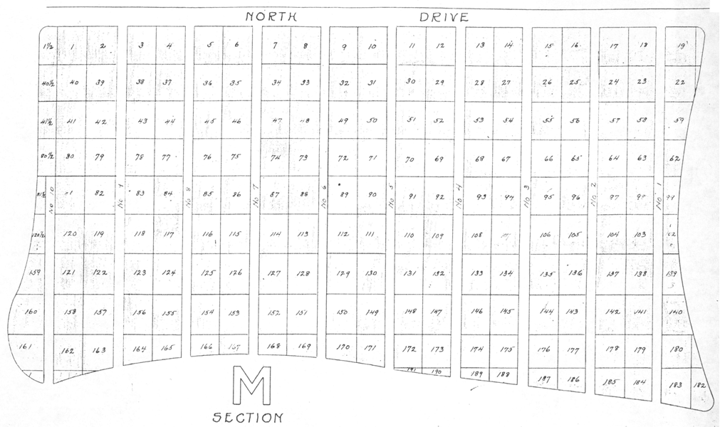 M_section