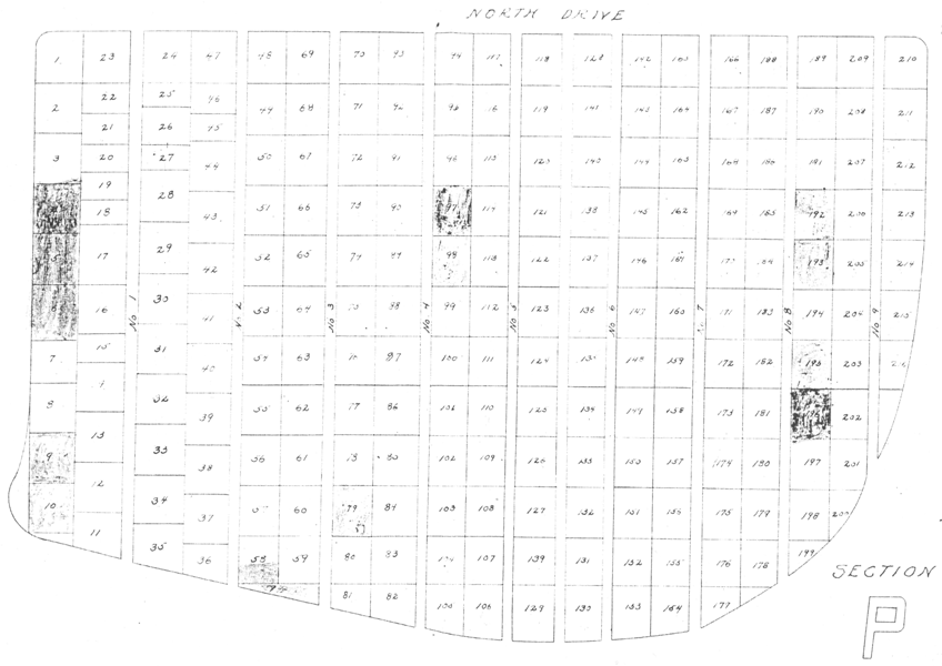 P_section